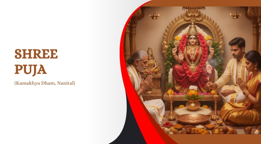 Image for Shree Puja